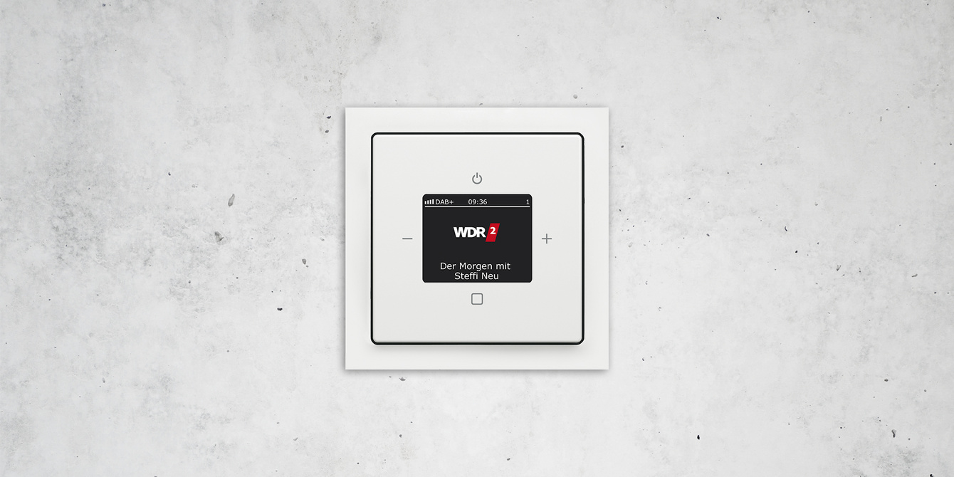 Busch-Radio DAB+ bei W&G Baudienste GmbH in Pfungstadt